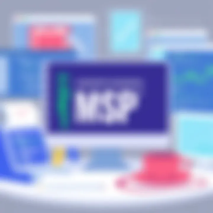 Magnificent Understanding MSPs in Software: A Comprehensive Exploration