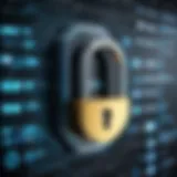 Visual representation of secure cryptographic key management systems
