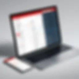 Overview of Oracle Expense App Interface