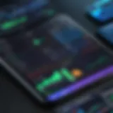 A detailed dashboard showcasing AvidPay functionalities