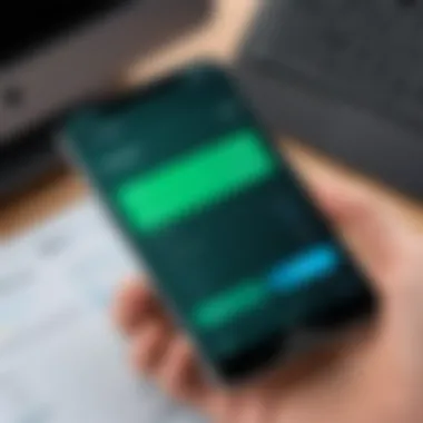 User Interface Features of AvidPay Visual representation of AvidPay user interface features