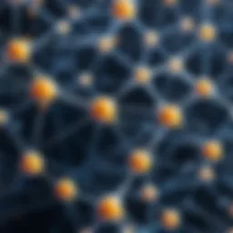 Visual representation of neural network architecture
