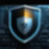 A digital shield representing antivirus protection