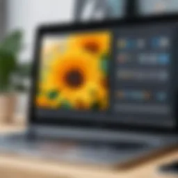 Interface of a popular online photo editing tool featuring adjustment sliders.