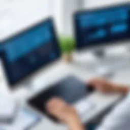 Overview of home health care accounting software interface