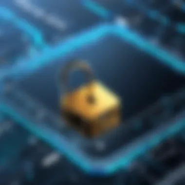 Secure Transaction Process A secure transaction process illustrated with locking mechanisms