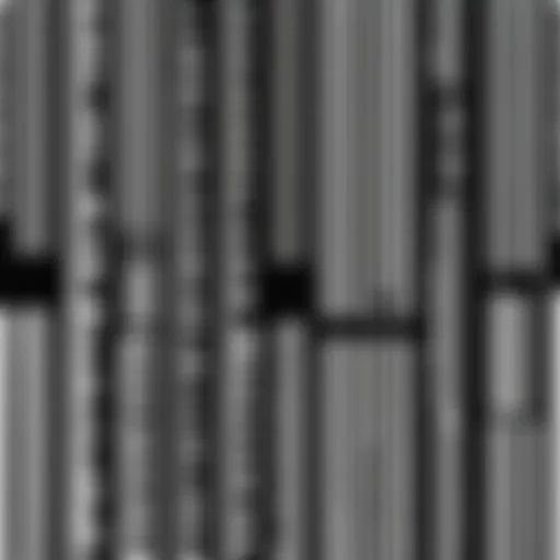 Diverse types of barcodes used in inventory