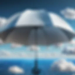Visualization of umbrella cloud security architecture
