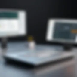 Detailed interface of Burp Software showcasing its features