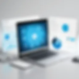 Graphical representation of client portal functionalities